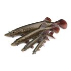 LEURRE SOUPLE FOX RAGE REPLICANT ULTRA NATURALS PIKE