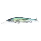 POISSON NAGEUR MEGABASS VISION ONE TEN 110 +1 SW