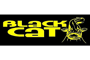 BLACK CAT