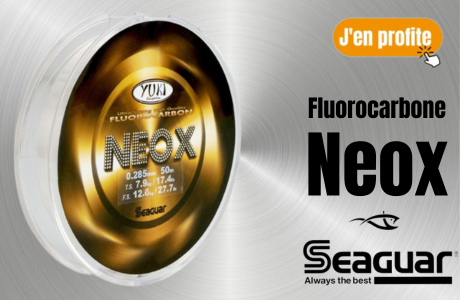 NEOX_WEB