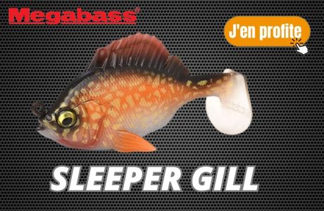 SLEEPER_GILL